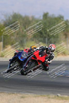 media/Nov-11-2023-SoCal Trackdays (Sat) [[efd63766ff]]/Turn 2 Set 2 (1145am)/